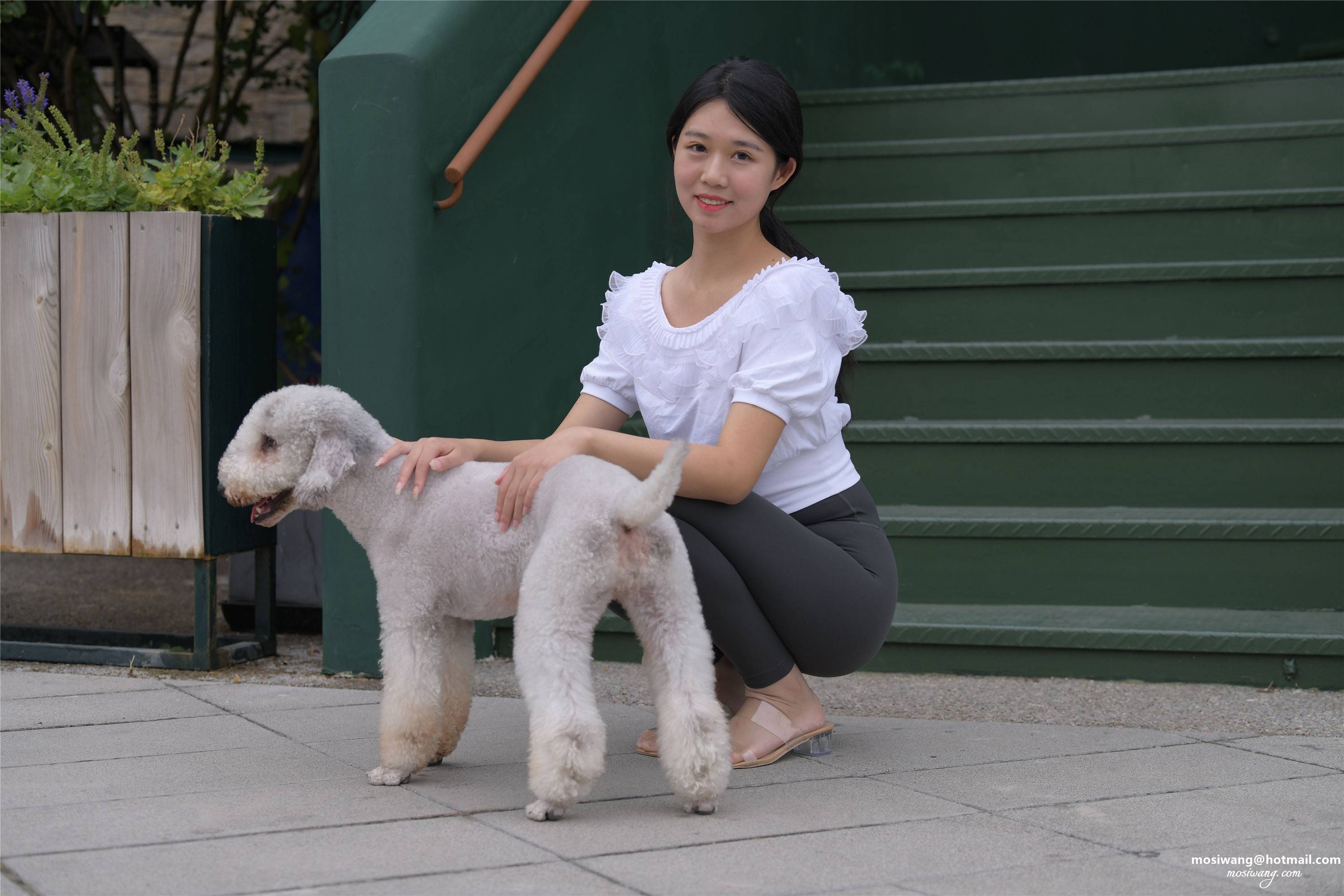 DSC_4240-给此邮箱发邮件：mosiwang@hotmail.com.JPG
