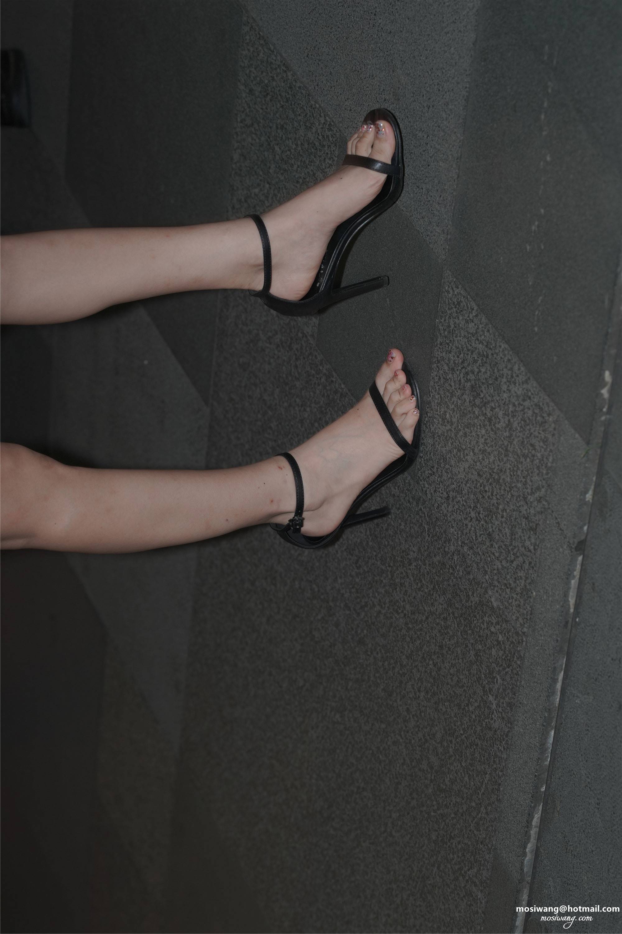0043-给此邮箱发邮件：mosiwang@hotmail.com.jpg